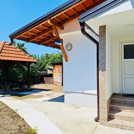 Apartman Radulovic Villa Negotin Luaran gambar